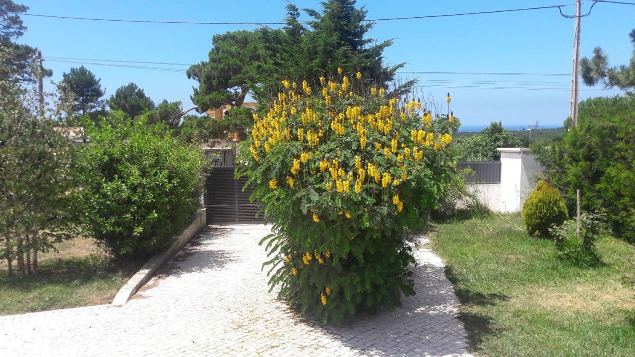 Sintra Vintage Caravan Villa Ngoại thất bức ảnh